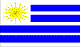 country_flag